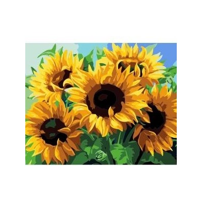 Smart Flamingo Creative set Flamingo Line Painting by numbers 40x50cm Sunflowers (FDY29)