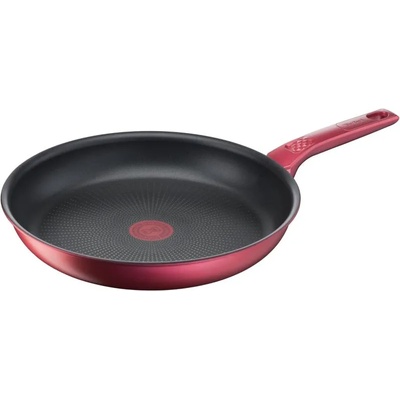 Tefal Daily Chef 24 cm (G2730472)