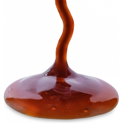 Les Fruits du Paradise Bio Datlový sirup 5000 g