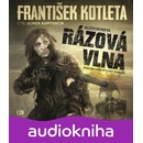 Rázová vlna