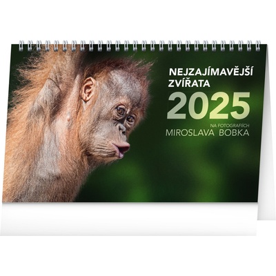 NOTIQUE Stolový Najzaujímavejšie zvieratá 23,1 x 14,5 cm 2025