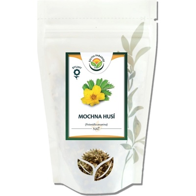 Salvia Paradise Mochna husí nať 1000 g