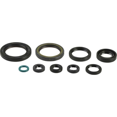 Sada gufer motoru ATHENA P400210400239