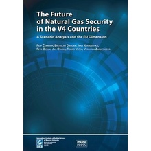 The Future of Natural Gas Security in the V4 Countries: A Scenario Analysis and the EU Dim