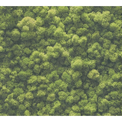 A.S. Création 394051 Vliesová tapeta na zeď PintWalls II rozměry 0,53 x 10,05