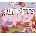 Nippets: A Hidden Object Game