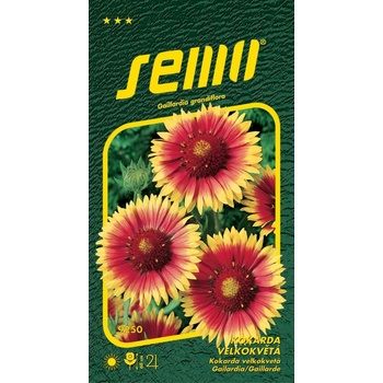 SEMO Kokarda veľkokvetá (spanilá - žltohnedá)