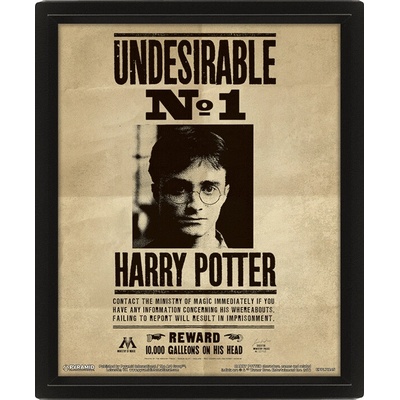 Harry Potter: Obraz 3D - Sirius Black