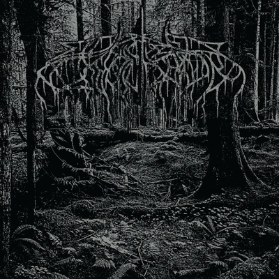 Wolves In The Throne Room 2005 Demo Black Ice LP