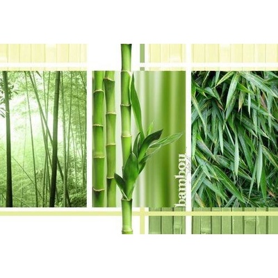 Impol Trade 2-180VE vliesová fototapeta bambus koláž 310 cm x 219 cm