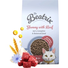 Beatrix Adult Cat s hovězím 1,4 kg