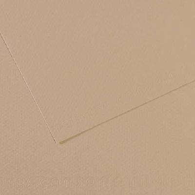 Canson Tónovaný papier Mi-Teintes 50 x 65 cm 160 g/m²Perleťová 343