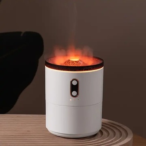  Magma V26