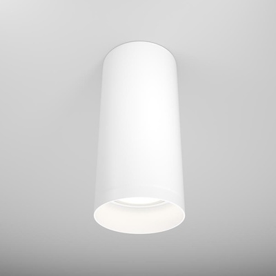 Maytoni C010CL-01W