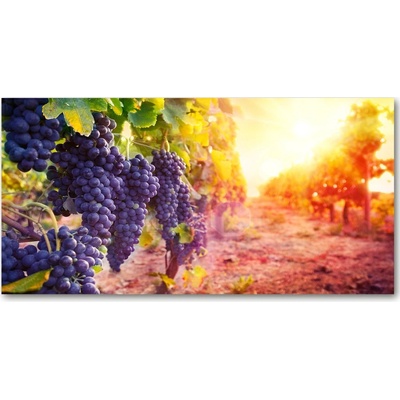 Foto obraz sklenený horizontálny Hrozno a víno 100x50 cm