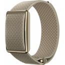 Polar Loop