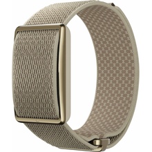 Polar Loop