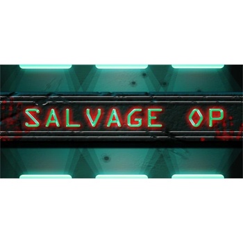D.W.S. Salvage Op (PC)