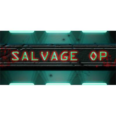 D.W.S. Salvage Op (PC)