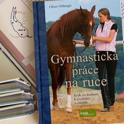 Gymnastická práce na ruce Oliver Hilberger