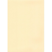 ELBE Classic Standard Line SBG 150 Sand 25 x 1,65 m