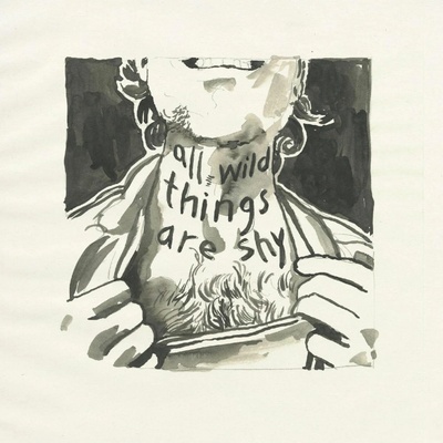 Laviolette Richard All wild things are shy 1 CD
