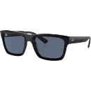 Ray-Ban Warren RB4396 667780
