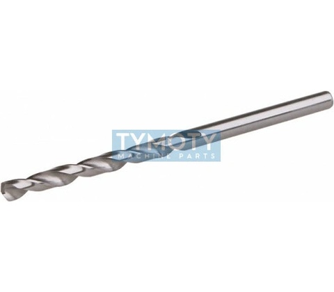 Festa 19557