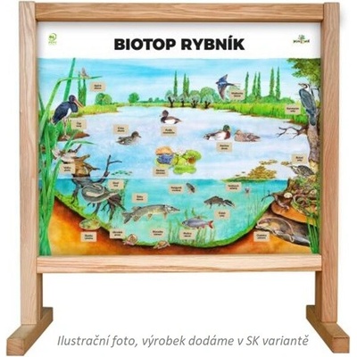 Lesní svět Stolný biotop s magnetmi Rybník
