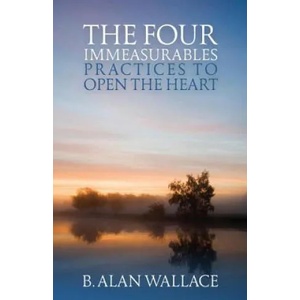 Four Immeasurables | B. Alan Wallace (ISBN: 9781559393539)