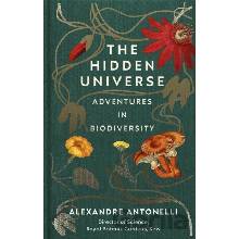 The Hidden Universe - Antonelli Alexandre