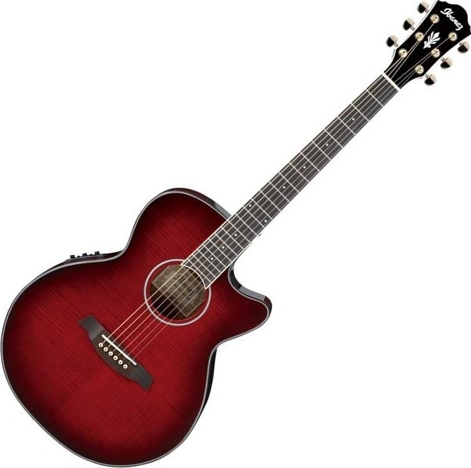 IBANEZ AEG24II アイバニーズ アイバニーズ/AEG24II TGBブラックIbanez薄型エレアコ薄胴
