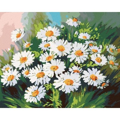Zuty Malování podle čísel Kopretiny v trávě 80 x 100 cm vypnuté plátno na rám