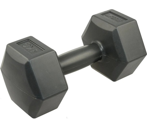 Lifefit vinyl 4 kg
