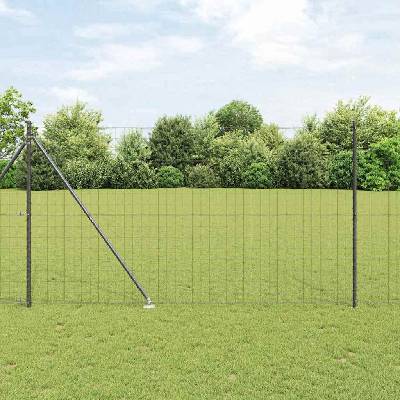 OMAXI Evropský plot se hroty 10 x 1,6 m Ocel potažená PVC Šedá 240118