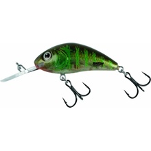 Salmo Rattlin Hornet Floating Green Gill Clear 5,5 cm