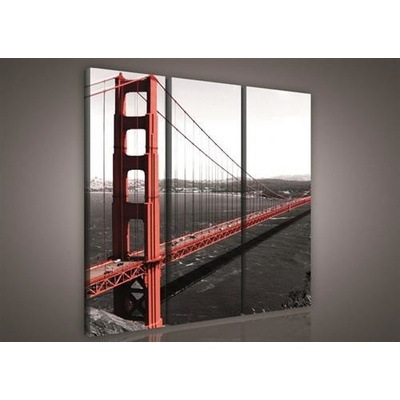 Obraz na plátne, rozmer 90 x 80 cm, Golden Gate Bridge, IMPOL TRADE 103S6