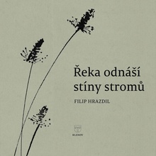 Řeka odnáší stíny stromů