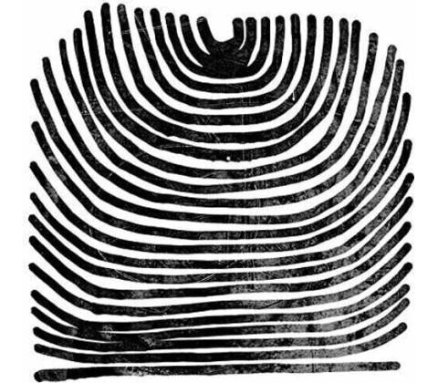 RIVAL CONSOLES: HOWL LP