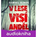 V lese visí anděl