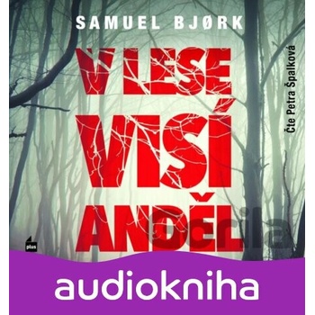 V lese visí anděl
