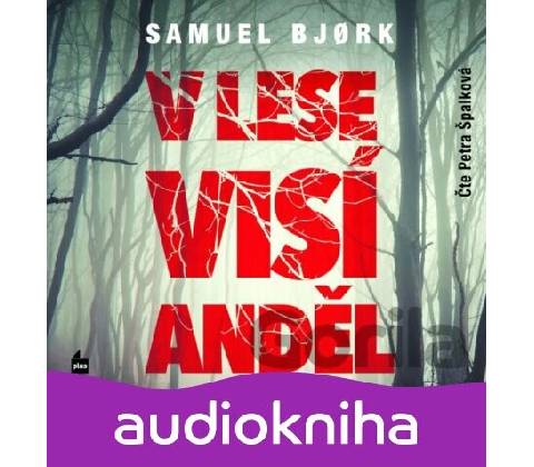 V lese visí anděl