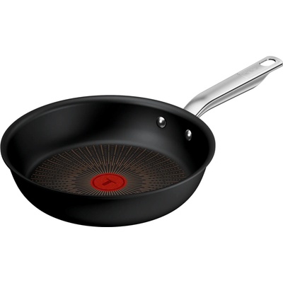 Tefal Panvica Experience G3340443 24 cm