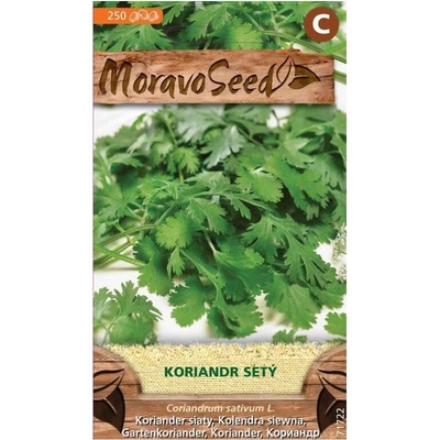 Semínka MoravoSeed Koriandr setý 71722