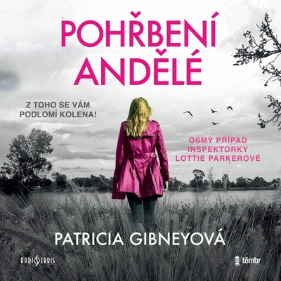 Pohřbení andělé - Patricia Gibneyová