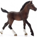 Schleich Arabské hříbě