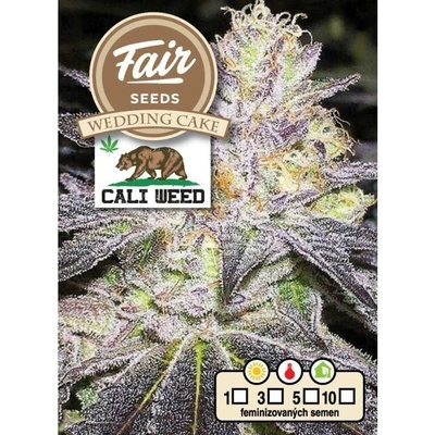 Fair Seeds Wedding Cake semena neobsahují THC 10 ks
