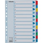 ESSELTE Регистър ESSELTE Mylar A/4 ламиниран картон 1-12 100162 (100162)