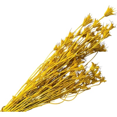 Sušené kvety Černuška - Nigella orientalis 100g - žlté