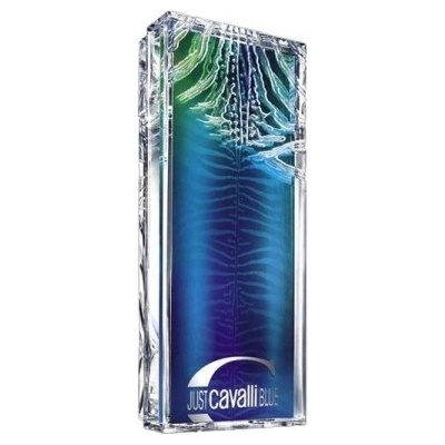 Roberto Cavalli Just Him Blue toaletní voda pánská 60 ml